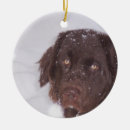 Search for newfie christmas tree decorations Newfoundland