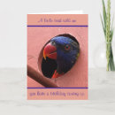 Search for lorikeets cards Bird