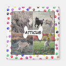 Search for paws magnets Memorial