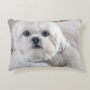 Search for fluffy dog cushions White