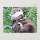 Search for mustelid postcards Nature