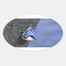 Search for nuthatch stickers White