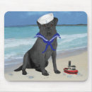 Search for black labrador electronics Pets