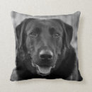 Search for labrador cushions animals