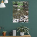 Search for peaceful scene posters Calm