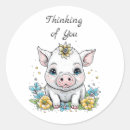 Search for baby piglet stickers Pigs