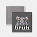 Search for rodents magnets Animal lover