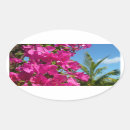 Search for bougainvillea stickers Tropical