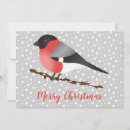Search for bullfinch christmas cards Bird