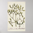 Search for parasite posters Illustration