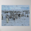 Search for antarctica posters Snow