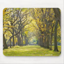 Search for central park mouse mats Trees