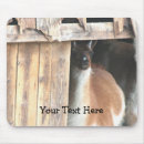 Search for barn animals electronics Cute