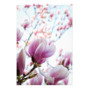Search for macro flowers posters Magnolia