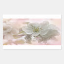 Search for photograph rectangle stickers Pretty