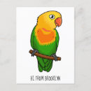 Search for conure vertical postcards Parrot