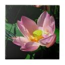 Search for lotus tiles Floral