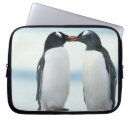 Search for beaks electronics Outdoors