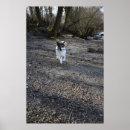 Search for happy jack posters Dog