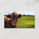Search for cattle business cards Meat