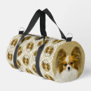 Search for papillons bags Dog