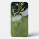 Search for focus on foreground cases Adnt