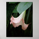 Search for multi region posters Photography
