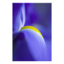 Search for purple iris art posters Abstract