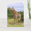 Search for animal wedding anniversary cards Couple