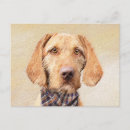 Search for vizsla postcards Pet