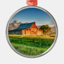 Search for jackson hole christmas tree decorations Nature