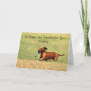 Search for funny dachshund birthday cards Pets