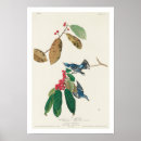 Search for warbler posters Birder