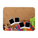 Search for shell pictures magnets Outdoors