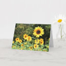 Search for sunflower birthday cards Blank inside