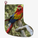 Search for parrot christmas stockings Bird