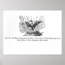 Search for phoenix bird art Rebirth