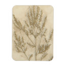 Search for foliage magnets Botanical