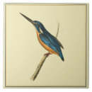 Search for kingfisher tiles Blue