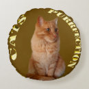 Search for ginger cat cushions Pet