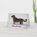 Search for rescue christmas cards Dogs