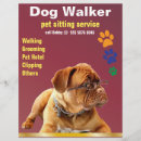 Search for pet sitting flyers Groomer