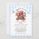 Search for apple baby shower invitations Gingham