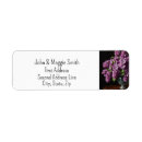 Search for purple lilacs return address labels Mauve