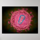 Search for biomolecules posters Detail