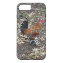 Search for bantam Rooster
