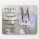 Search for squirrel mouse mats Pet