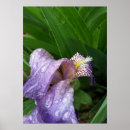 Search for water drops leafs posters Green