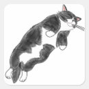 Search for lazy cat stickers Kawaii