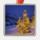 Search for park city christmas tree decorations Cold